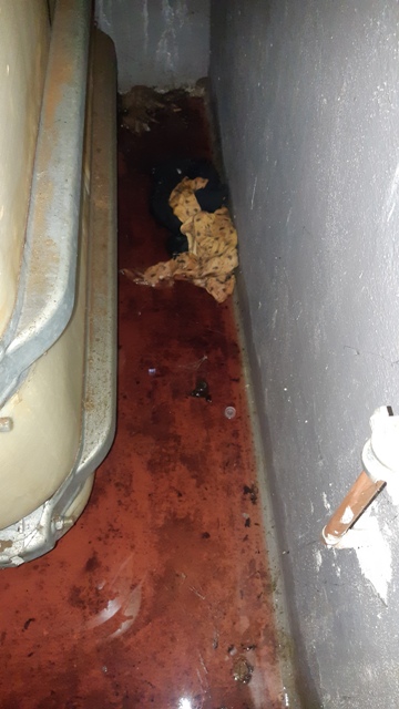 20210621_092439 groß.jpg